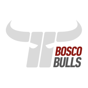 bulls